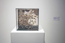2025_06_06_ausstellung_utopie_und_wirklichkeit_2025_06_06_rudolf_schnellbach25_800x530.jpg